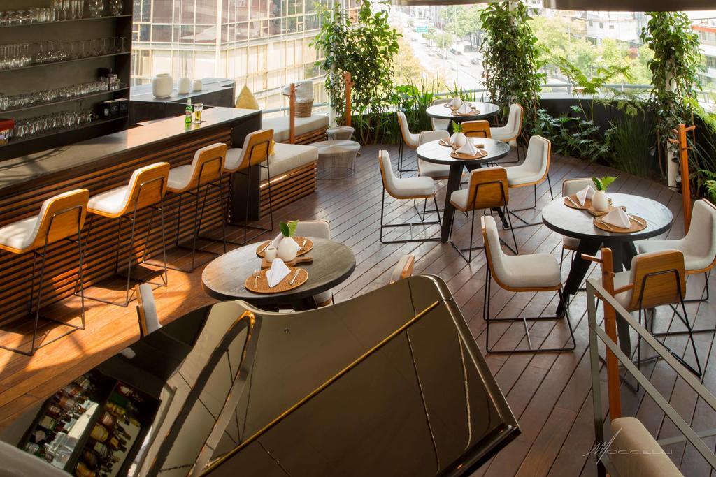 Suites Contempo Meksyk Zewnętrze zdjęcie The bar at the 10th floor